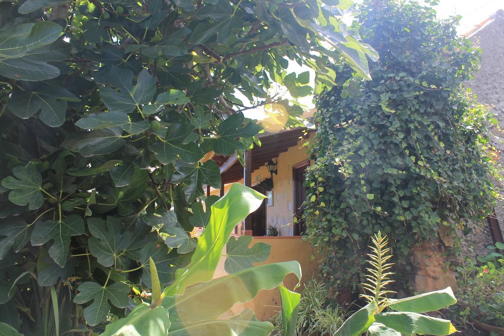 Casa Rural Las Rosas Agulo Zimmer foto
